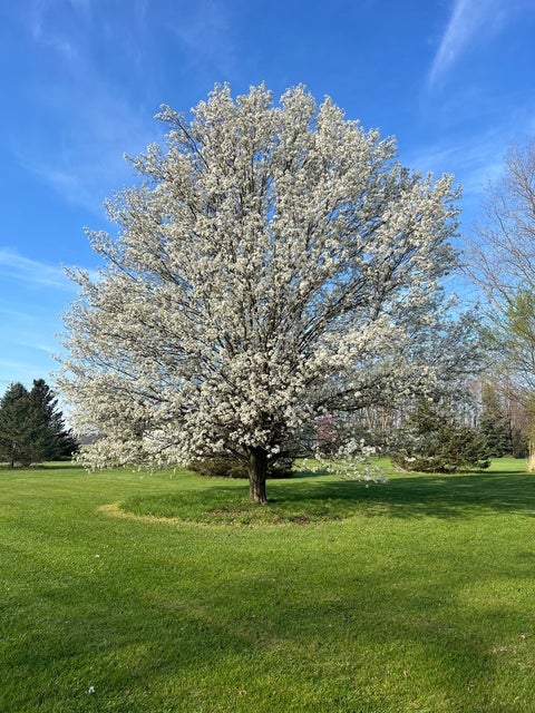 Tiny photo for 18840 W Manteno Road, Wilmington, IL 60481 (MLS # 12770900)