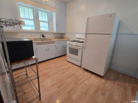 Tiny photo for 502 W CHESTNUT Street, Carbondale, IL 62901 (MLS # EB458956)