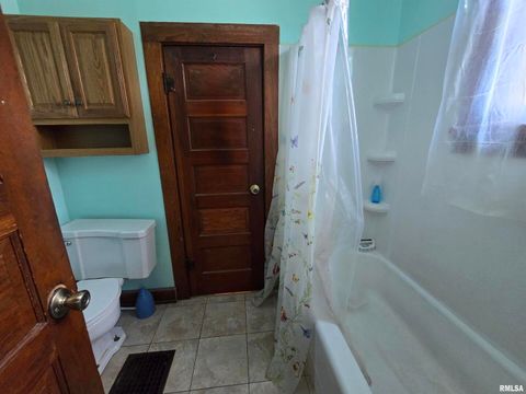 Tiny photo for 502 W CHESTNUT Street, Carbondale, IL 62901 (MLS # EB458956)