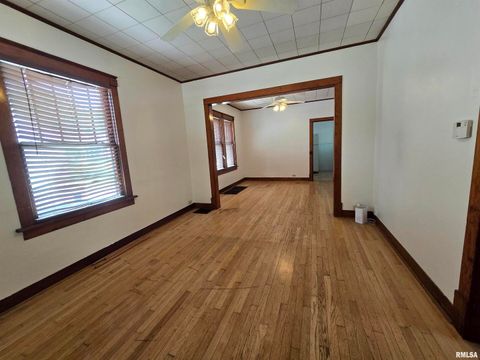 Tiny photo for 502 W CHESTNUT Street, Carbondale, IL 62901 (MLS # EB458956)