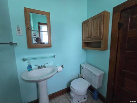 Tiny photo for 502 W CHESTNUT Street, Carbondale, IL 62901 (MLS # EB458956)