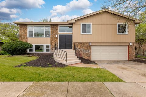 252 S Ellis Avenue Glenwood IL 60425
