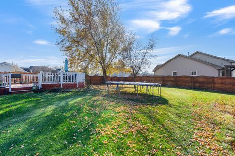Tiny photo for 5221 W MULBERRY Lane, Monee, IL 60449 (MLS # 12514427)