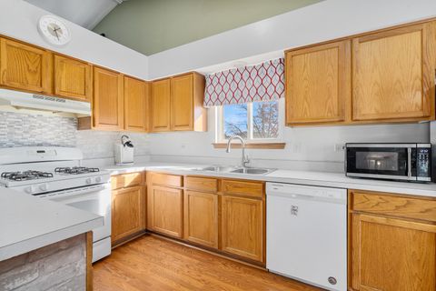 Tiny photo for 5221 W MULBERRY Lane, Monee, IL 60449 (MLS # 12514427)