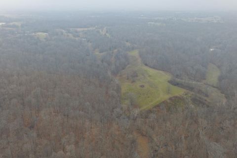 Tiny photo for 1300 Shoal Creek Rd Road #1, Murphysboro, IL 62966 (MLS # 100000456)