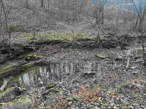 Tiny photo for 1300 Shoal Creek Rd Road #1, Murphysboro, IL 62966 (MLS # 100000456)