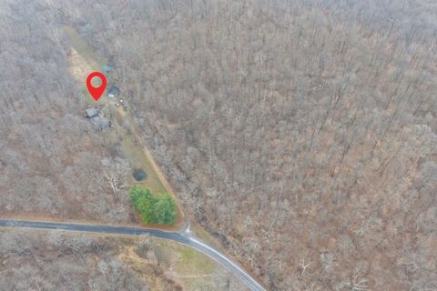 Tiny photo for 1300 Shoal Creek Rd Road #1, Murphysboro, IL 62966 (MLS # 100000456)