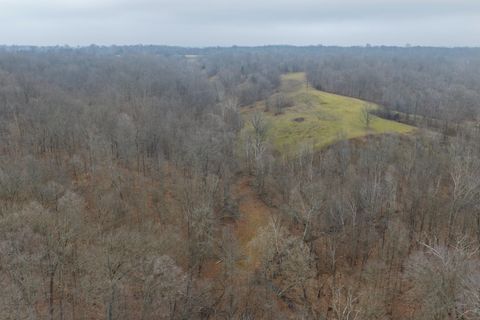 Tiny photo for 1300 Shoal Creek Rd Road #1, Murphysboro, IL 62966 (MLS # 100000456)