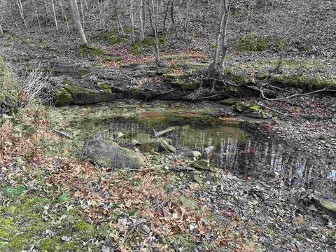 Tiny photo for 1300 Shoal Creek Rd Road #1, Murphysboro, IL 62966 (MLS # 100000456)