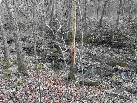 Tiny photo for 1300 Shoal Creek Rd Road #1, Murphysboro, IL 62966 (MLS # 100000456)