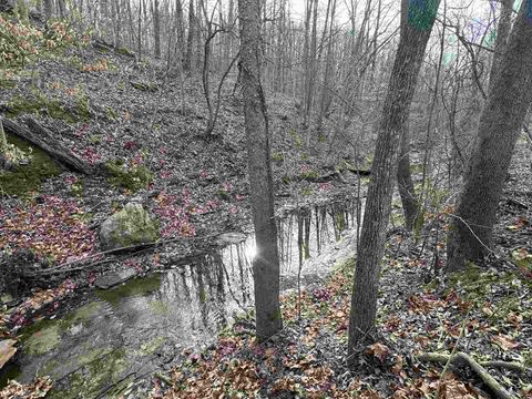 Tiny photo for 1300 Shoal Creek Rd Road #1, Murphysboro, IL 62966 (MLS # 100000456)