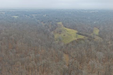 Tiny photo for 1300 Shoal Creek Rd Road #1, Murphysboro, IL 62966 (MLS # 100000456)