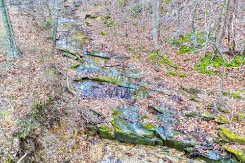 Tiny photo for 1300 Shoal Creek Rd Road #1, Murphysboro, IL 62966 (MLS # 100000456)