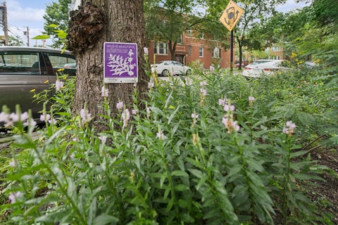 Tiny photo for 3845 W Altgeld Street #G, Chicago, IL 60647 (MLS # 12719645)
