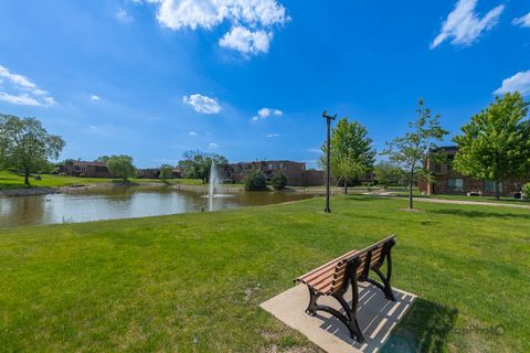 Tiny photo for 729 Limerick Lane #2D, Schaumburg, IL 60193 (MLS # 12660885)