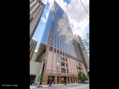 161 E Chicago Avenue 31B Chicago IL 60611