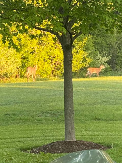 Tiny photo for 822 Waters Edge Drive, South Elgin, IL 60177 (MLS # 12619584)