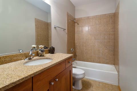 Tiny photo for 641 E Pershing Avenue #301, Chicago, IL 60653 (MLS # 12722570)