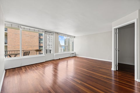 Tiny photo for Chicago, IL 60610 (MLS # 12728272)