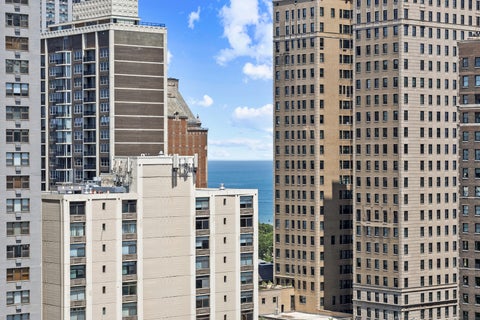 Tiny photo for Chicago, IL 60610 (MLS # 12728272)