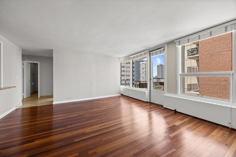 Tiny photo for Chicago, IL 60610 (MLS # 12728272)