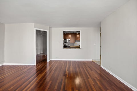 Tiny photo for Chicago, IL 60610 (MLS # 12728272)