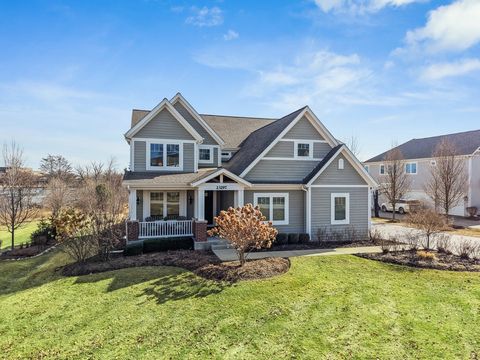 23297 N Sanctuary Club Drive Kildeer IL 60047