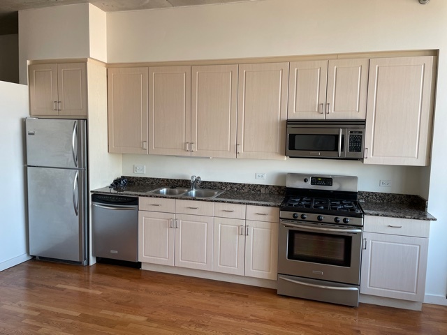 1720 S Michigan Avenue 2007