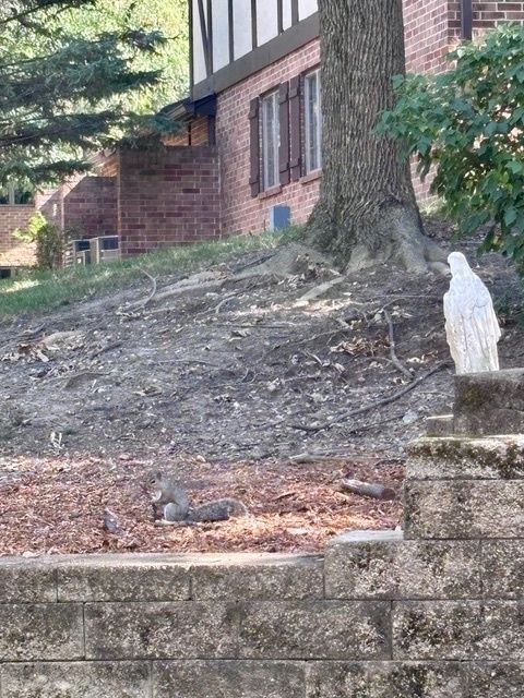 Tiny photo for 7737 W Golf Drive #101, Palos Heights, IL 60463 (MLS # 12476590)