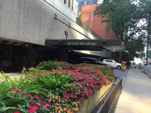 200 E Delaware Place 5D Chicago IL 60611