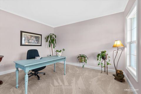 Tiny photo for Plainfield, IL 60585 (MLS # 12628704)