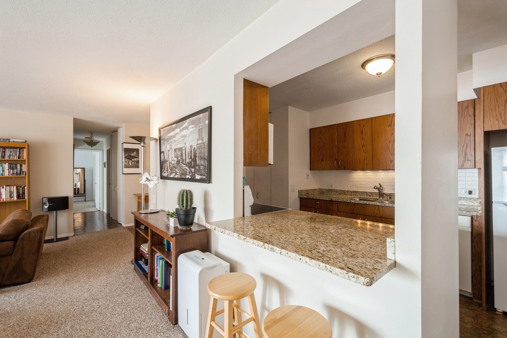 1143 S PLYMOUTH Court 508