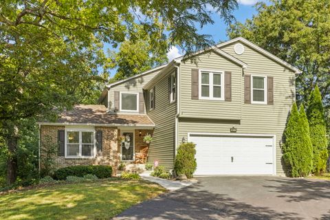 Photo of 800 N Ashbury Avenue, Bolingbrook, IL 60440 (MLS # 12451108)
