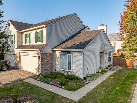 Tiny photo for 238 Paddington Lane, Bolingbrook, IL 60440 (MLS # 12469753)