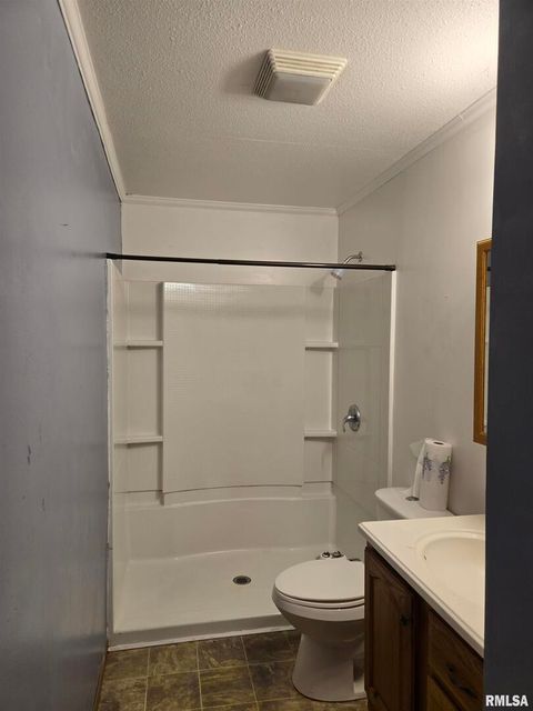 Tiny photo for 317 MECHANIC Street, Mt Sterling, IL 62353 (MLS # QC4262186)