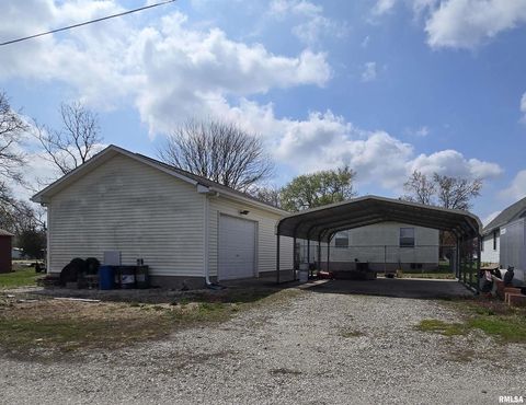 Tiny photo for 317 MECHANIC Street, Mt Sterling, IL 62353 (MLS # QC4262186)