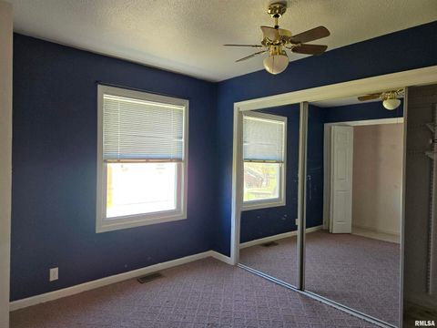 Tiny photo for 317 MECHANIC Street, Mt Sterling, IL 62353 (MLS # QC4262186)