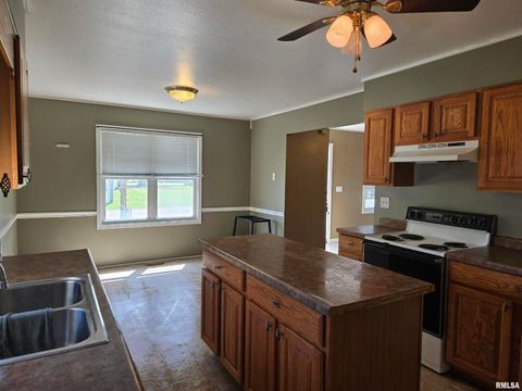 Tiny photo for 317 MECHANIC Street, Mt Sterling, IL 62353 (MLS # QC4262186)