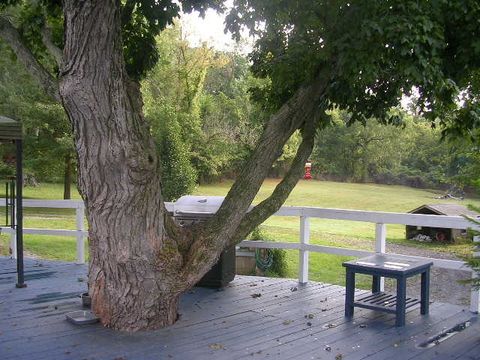 Tiny photo for 125 Central Hill Road, Grantsburg, IL 62943 (MLS # 12555625)