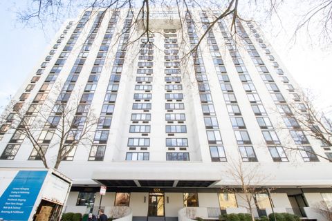 1221 N Dearborn Parkway 1406S Chicago IL 60610