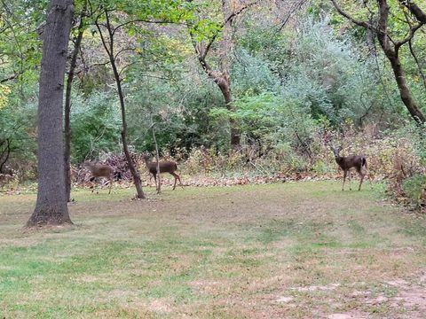 Tiny photo for 13 Birch Drive, Putnam, IL 61560 (MLS # 12496916)