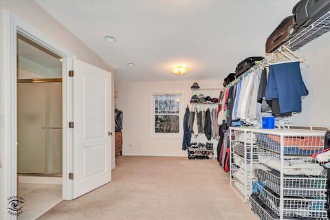 Tiny photo for 10427 Penny Court, Frankfort, IL 60423 (MLS # 12601960)
