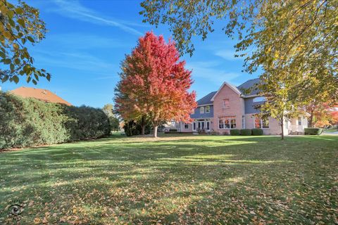 Tiny photo for 10427 Penny Court, Frankfort, IL 60423 (MLS # 12601960)
