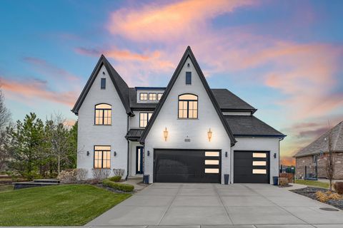 22303 Majestic Lane Frankfort IL 60423