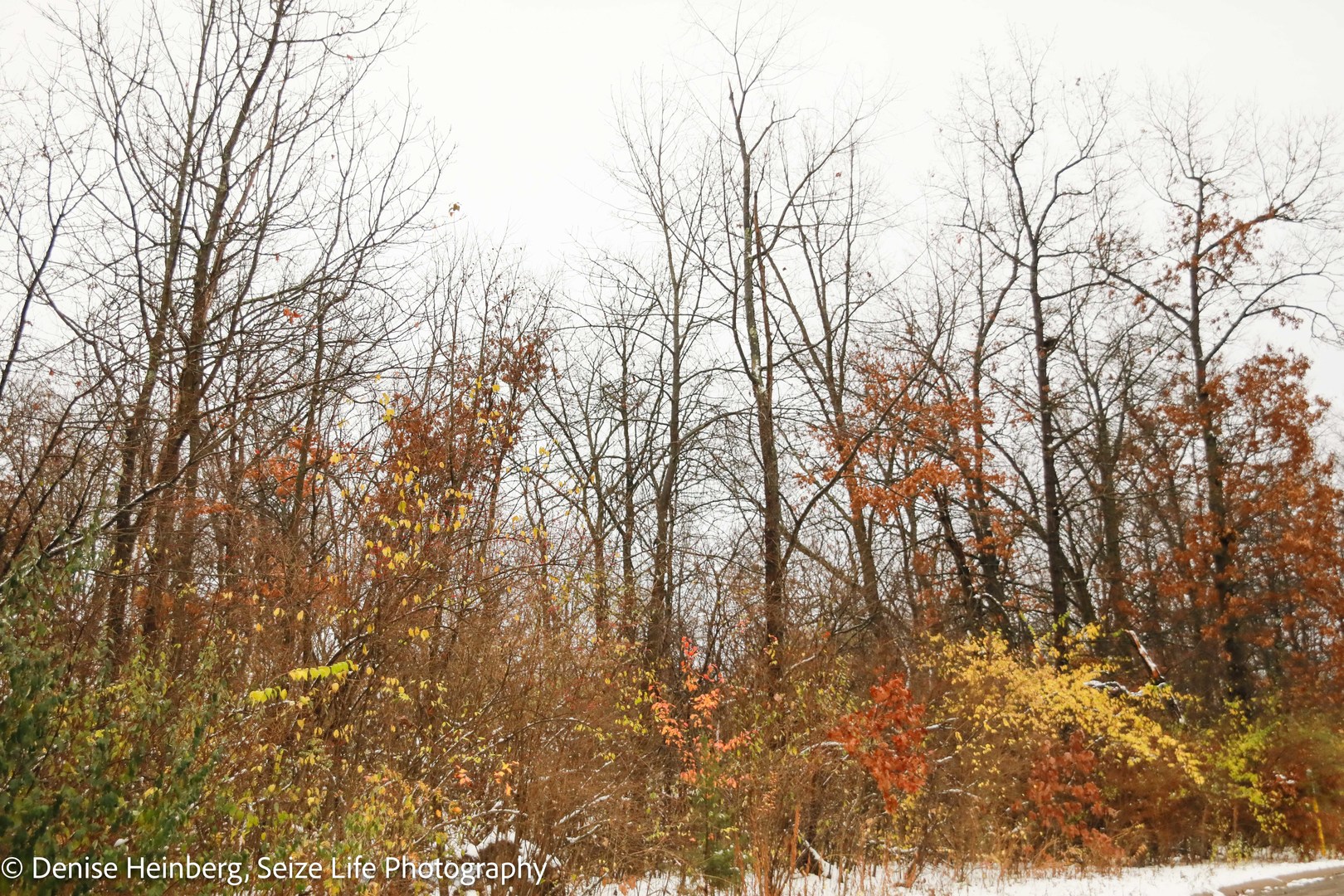 806 Echo (Lot 22) Trail