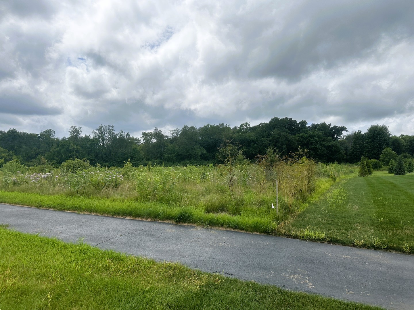 5048 Smokethorn Trail