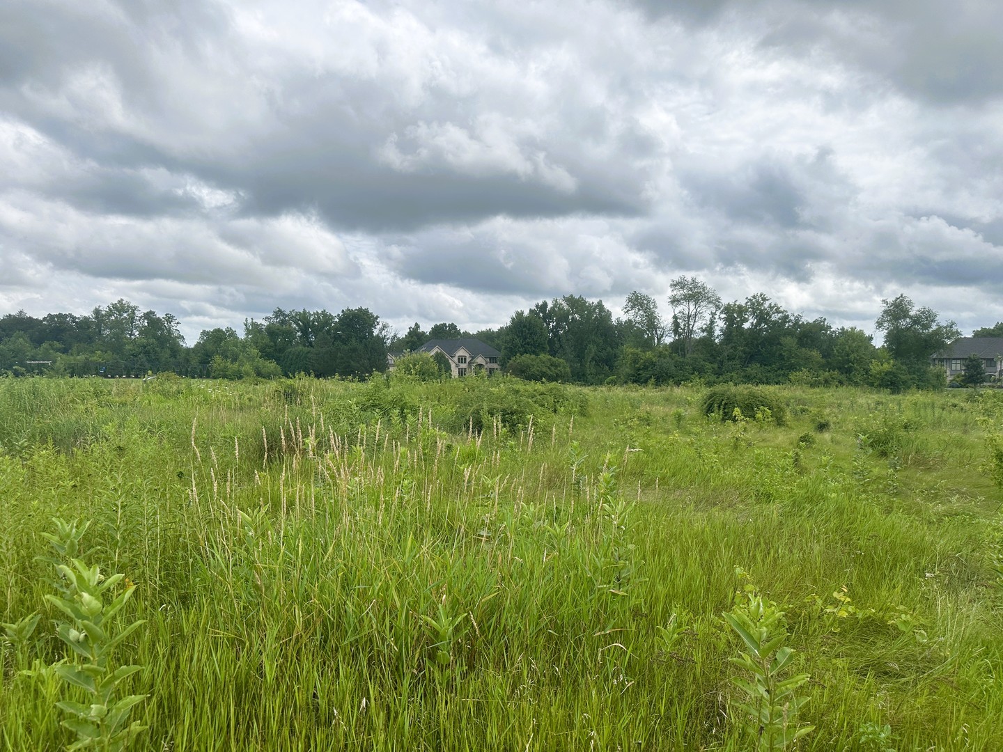 5048 Smokethorn Trail