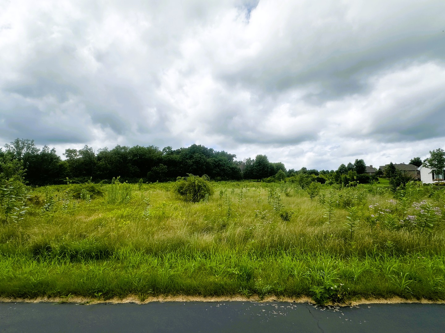 5048 Smokethorn Trail