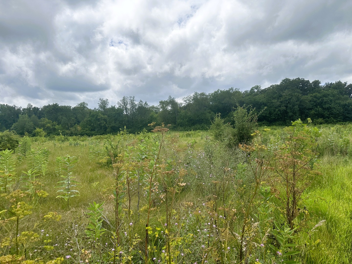5048 Smokethorn Trail
