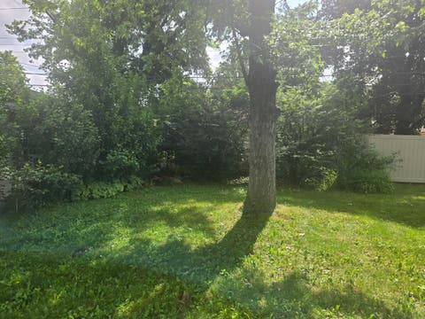 Tiny photo for 16339 Dobson Avenue, South Holland, IL 60473 (MLS # 12676807)